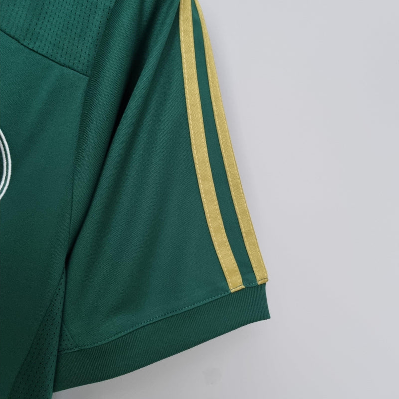 Camisola Retrô Palmeiras 2014/15 Home